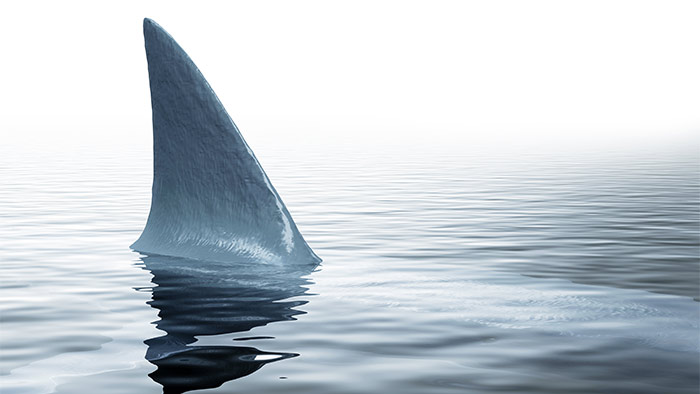 Shark fin barely visible above dark water