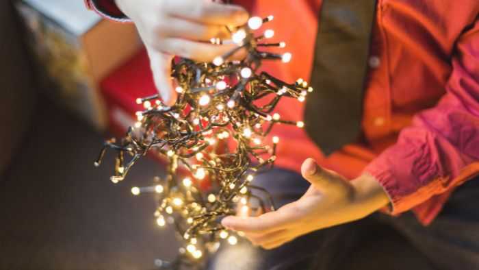 Boy holding tangled light strand