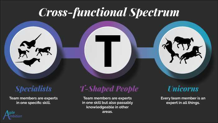 Cross-functional Spectrum