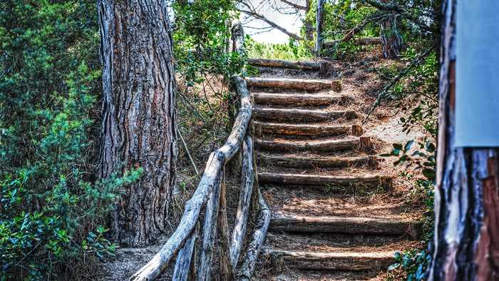 Steep unending stairs to nowhere in the forest