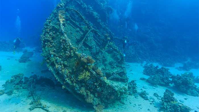 Sunken boat covered in coral on the ocean floor