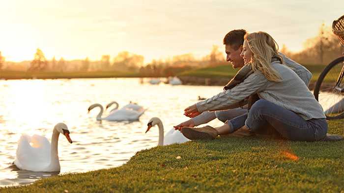 Couple on bank of a lake extent hands to feed two birds