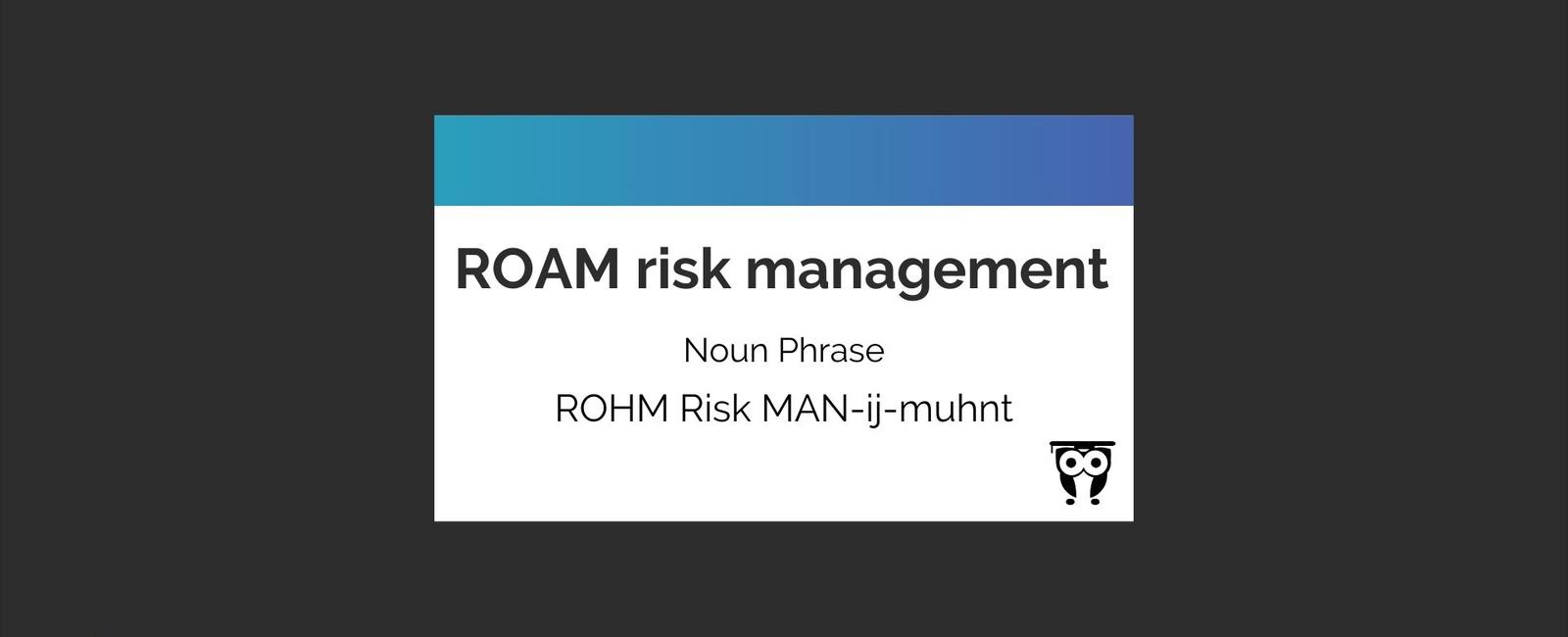 ROAM Risk Management