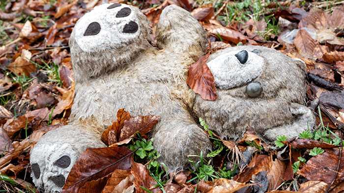 Soggy teddy bear leaying in leafy grass forgotten