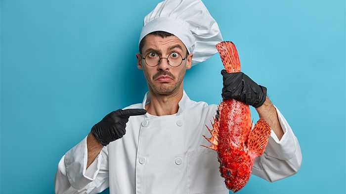 Puzzled chef holding bright red spiny fish
