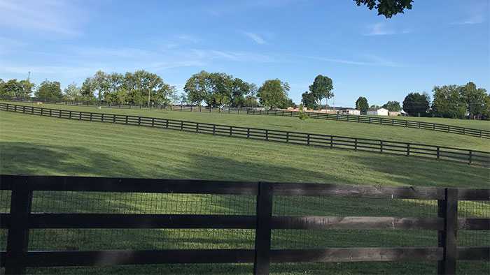 Dog park fence