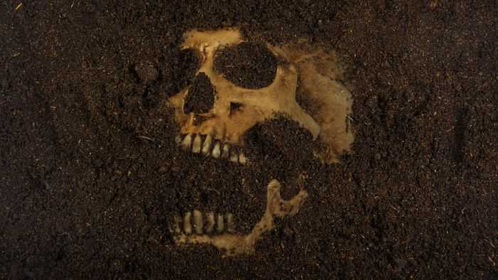 Buried skull emerging from dirt