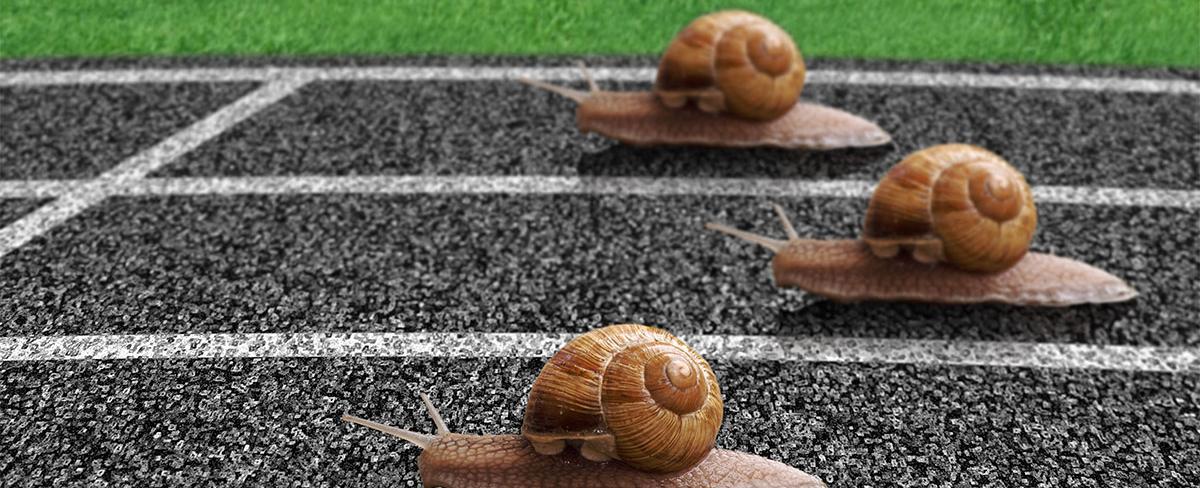 Story Point Velocity: Outpace the Snail