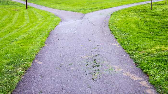 Park path that splits and goes to right and left with no information regarding what lies in eitehr direction